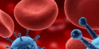 Crean el primer anticuerpo que ataca al cáncer