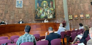 El Cabildo se suma a la FEMP en su reconocimiento a ciudadanos y empleados públicos por su esfuerzo durante la pandemia