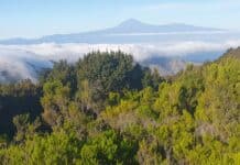 Detectados 50 terremotos en las Cañadas del Teide tras una semana de calma
