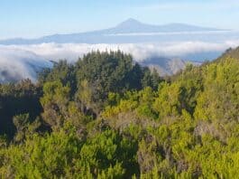 Detectados 50 terremotos en las Cañadas del Teide tras una semana de calma