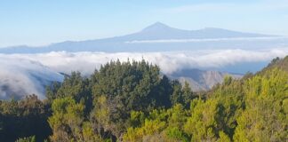 Temperaturas sin cambios este miércoles en Canarias