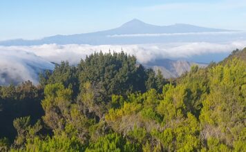 Detectados 50 terremotos en las Cañadas del Teide tras una semana de calma