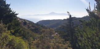 Cielos despejados en Canarias este lunes