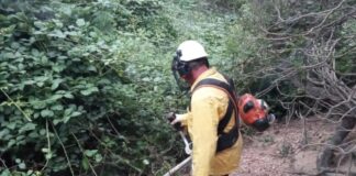 La Gomera activa un programa para incrementar la capacidad de mantenimiento de los cauces de la isla