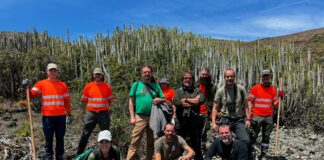 Canarias y Baleares unen esfuerzos para frenar la expansión de serpientes invasoras en las islas