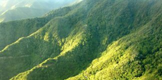 Transición Ecológica avanza la revisión del PRUG del Parque Nacional de Garajonay