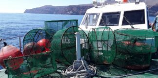 Intervenidas 11 nasas ilegales con más de siete kilos de camarones en La Gomera