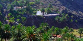 Juan Montesino Barrera: “El paisaje de La Gomera sin palmeras es vulgar”