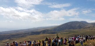 Este fin de semana Alajeró celebra la festividad de San Isidro Labrador