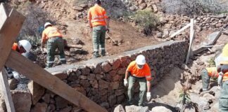La Gomera rehabilita sus bancales con más de un centenar de actuaciones en los últimos cinco meses en varios puntos de la Isla