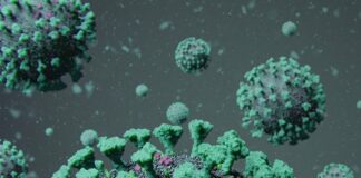 Sanidad informa que se descarta uno de los casos sospechosos de viruela del mono detectado hoy