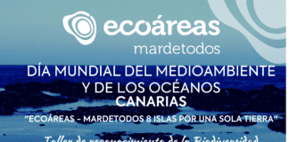 La vida de los charcos litorales de La Gomera, objeto de la actividad con motivo del Día Mundial del Medio Ambiente del proyecto Ecoáreas