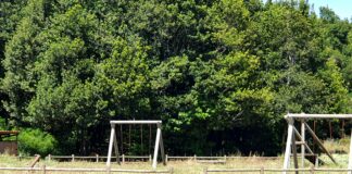 CC de La Gomera denuncia que la campaña de prevención de incendios “llega tarde”