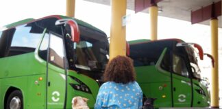 GuaguaGomera permite el transporte de animales domésticos desde esta semana