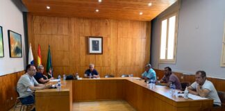 Los alcaldes y alcaldesa de La Gomera apuestan por la creación del resto de unidades de atención en demencias en la isla