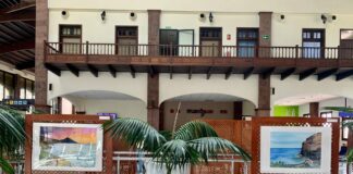 El Aeropuerto de La Gomera acoge la exposición de pinturas con vino y acuarela de la artista canaria Virginia Batista