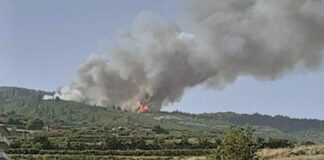 Declarado un conato de incendio en Los Realejos