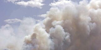 El incendio de Tenerife empeora durante la noche y ya afecta a 2.000 hectáreas