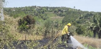 Extinguido el conato de incendio declarado este domingo en Las Hayas
