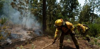 El incendio de Tenerife ha quemado ya en torno a 1.000 hectáreas y se acerca al Parque Nacional del Teide