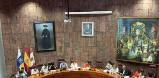 El Cabildo respalda la creación de una unidad de oncohematología pediátrica en los hospitales de Tenerife