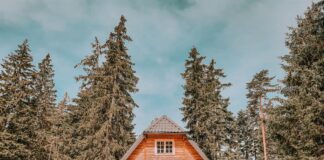 Casas de madera: las ventajas de construir con madera