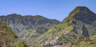Conferencia sobre la lucha contra la extinción de las plantas amenazadas del Parque Nacional de Garajonay