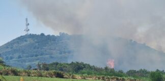 El incendio declarado en Tenerife obliga a evacuar a 25 personas