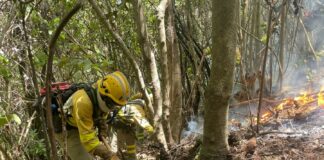 Transición Ecológica refuerza la estructura y los presupuestos de los equipos EIRIF en Canarias