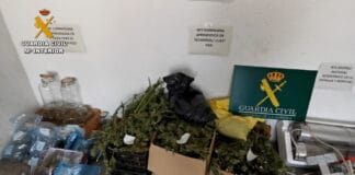 La Guardia Civil detiene a una mujer por la intervención de más de 12 kg de marihuana y 58 plantas de la misma sustancia en una finca de Hermigua