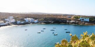 8 entidades ecologistas: “Los macroproyectos en Tenerife acelerarán la agonía ecológica”