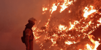 Bomberos forestales y personal de medioambiente en Canarias ya pueden acreditar su cualificación