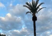 Precipitaciones en el norte de Canarias este viernes