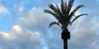 Cielos nubosos en Canarias este domingo