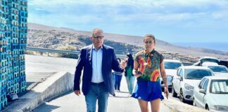 El Cabildo recibe 120 solicitudes para acogerse a las ayudas destinadas al fomento del sector primario