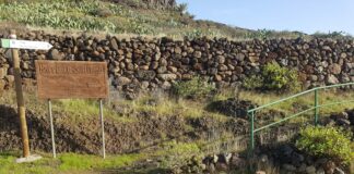 El PSOE muestra su preocupación por el estado del sendero que une el barranco de Santiago con la zona de Targa