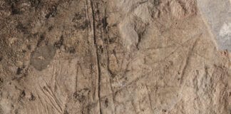 Vallehermoso retoma los talleres de investigación histórica sobre el naufragio de “La Mosca”