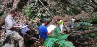 Investigar para proteger los nacientes del Garajonay frente al Cambio Climático