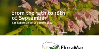 La Gomera reúne a los mejores expertos en flora de la Macaronesia en el congreso FloraMac