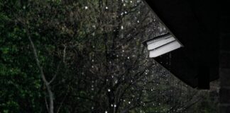 Consejos para proteger los equipos electrónicos de tu empresa en época de lluvias