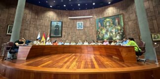 El Pleno del Cabildo aprueba el reglamento de uso de la marca ‘Artis-Manus La Gomera’