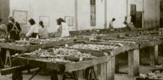 El Cabildo homenajea a las mujeres de los pescadores con motivo del Día de la Mujer Rural