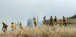 El Cabildo apuesta por incrementar los medios contraincendios para atender incidencias forestales y urbanas