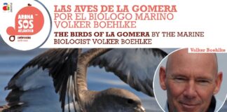 Arona SOS Atlántico ensalza la riqueza natural de La Gomera, este fin de semana, con una conferencia sobre sus aves y un concierto inspirado en el mar
