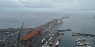 El PSOE propone el impulso de la promoción y la protección de productos agroalimentarios locales de La Gomera