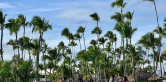 Diez buenas noticias del turismo en República Dominicana con inversionista Juan Carlos Briquet Mármol