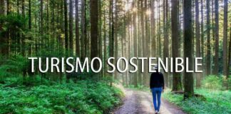 Cinco  de los mejores destinos de turismo sostenible en Estados Unidos para el 2023