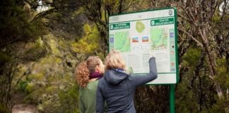 Medios británicos especializados en viajes posicionan La Gomera como el paraíso del senderismo