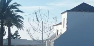 Fotonoticia: ‘Sosa Navidad en Chipude’