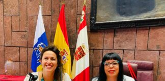 El PSOE pide en pleno la creación del Plan Estratégico de las Personas con Discapacidad en La Gomera